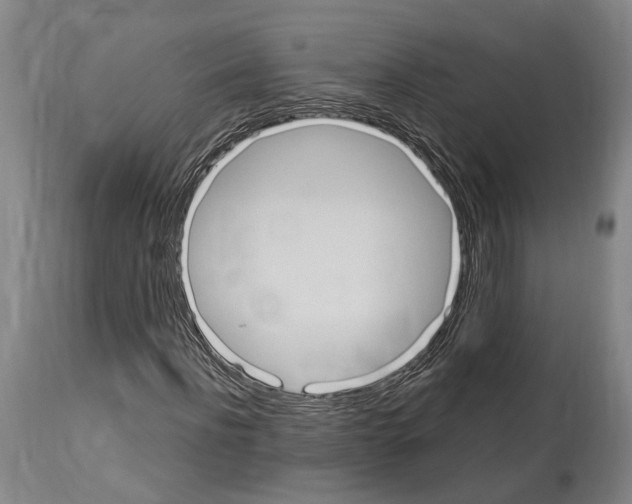 X0000114030916200911131245