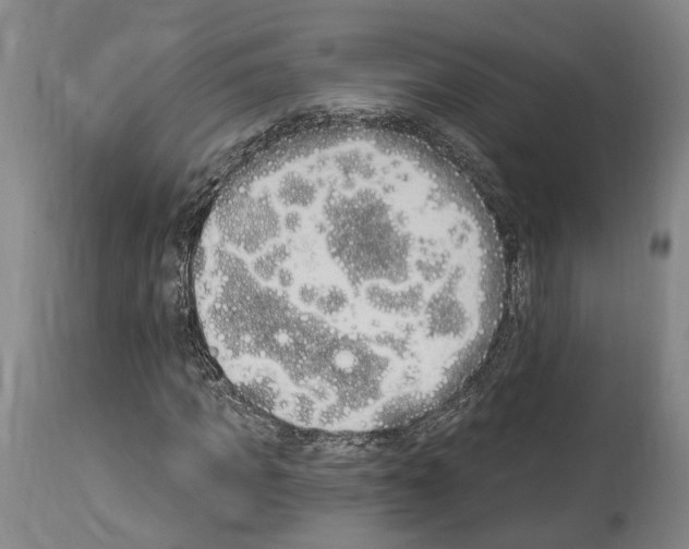 X0000114030917200911131245