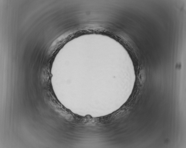 X0000114030920200911131245