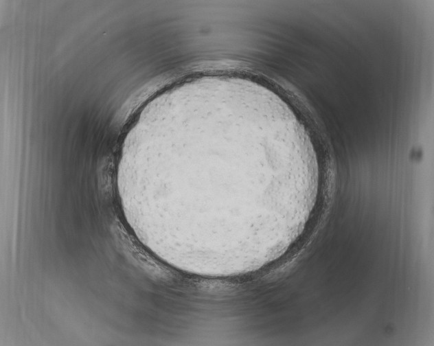 X0000114030921200911131245