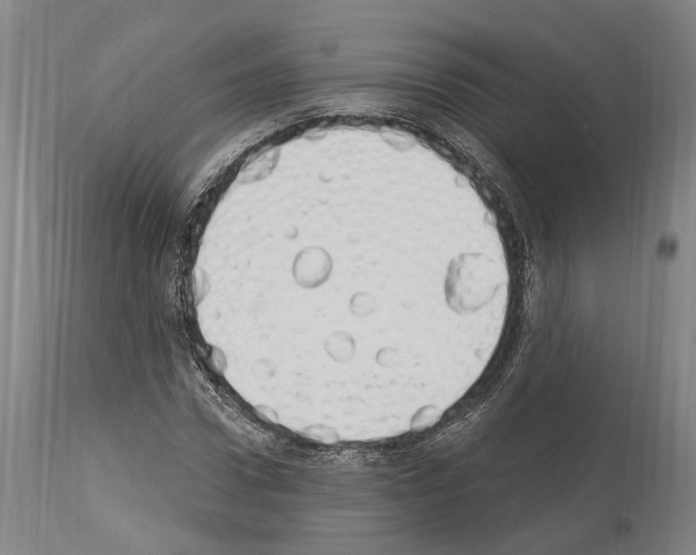 X0000114030922200911131245