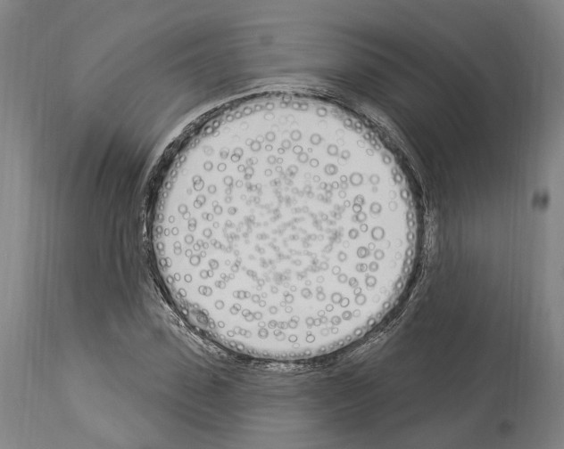 X0000114030923200911131245