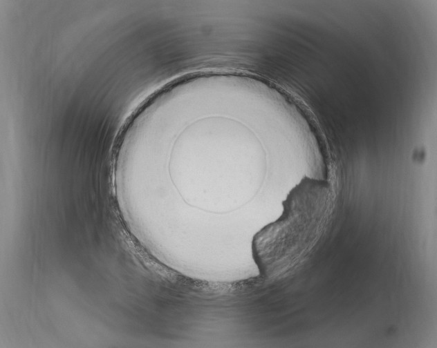 X0000114030925200911131246