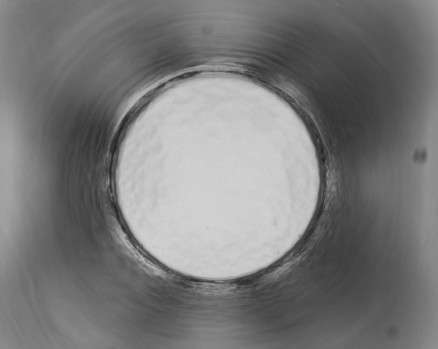 X0000114030928200911131246