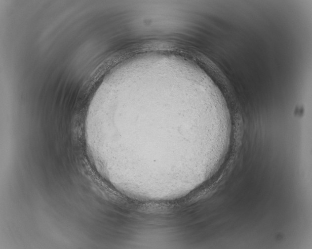 X0000114030929200911131246