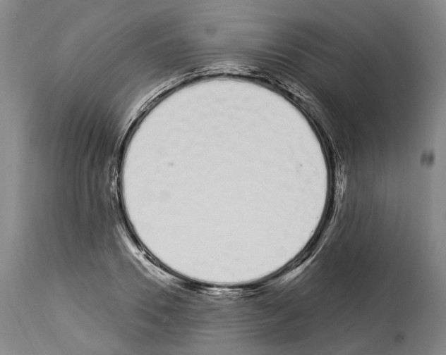 X0000114030930200911131246