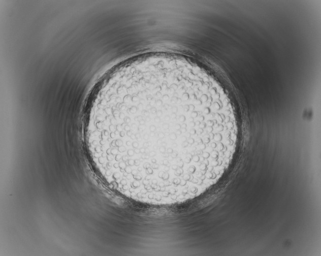 X0000114030931200911131246