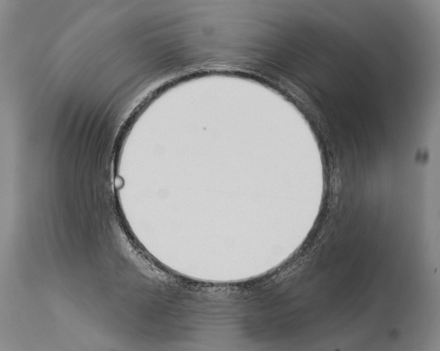 X0000114030934200911131246