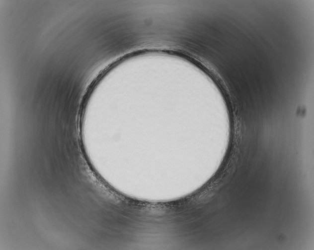 X0000114030935200911131246