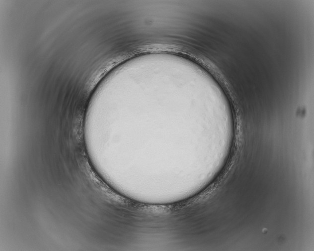 X0000114030937200911131246