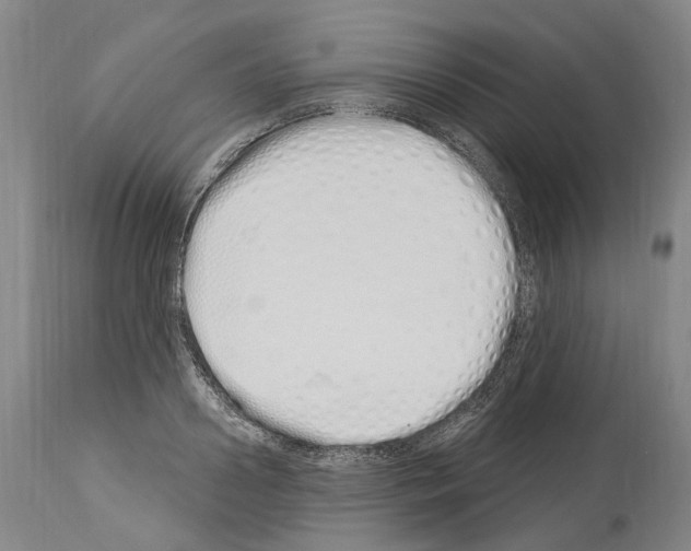 X0000114030938200911131246