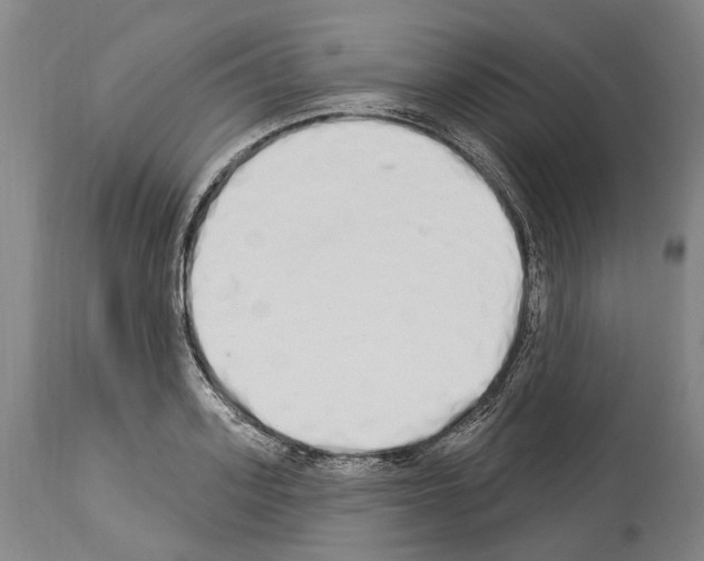 X0000114030939200911131246