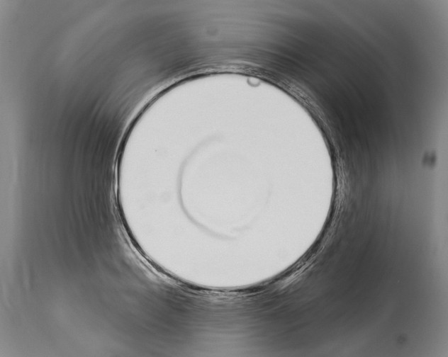 X0000114030940200911131246