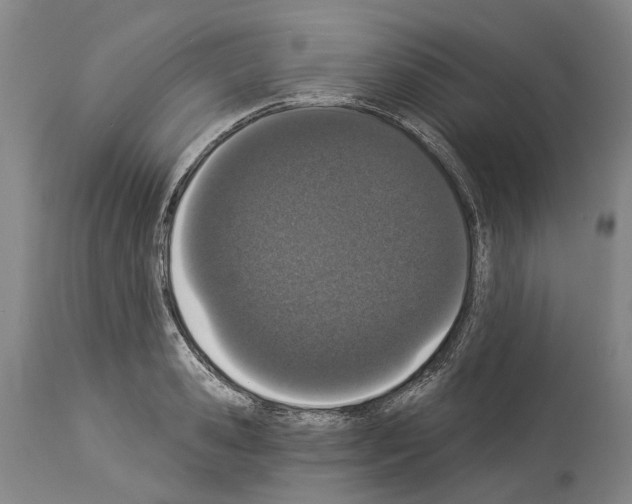 X0000114030941200911131246