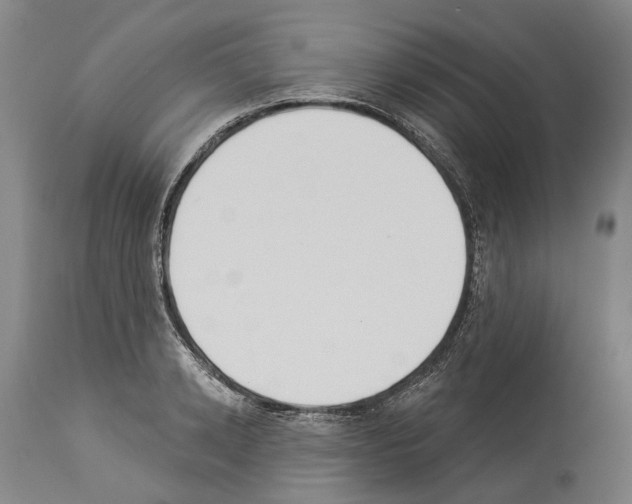 X0000114030942200911131246