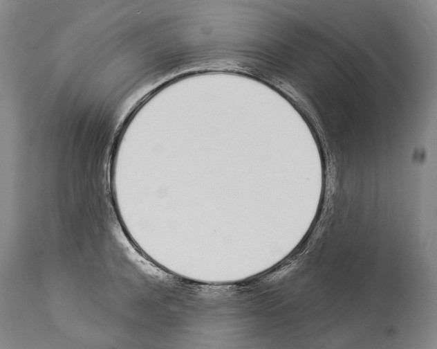 X0000114030944200911131246