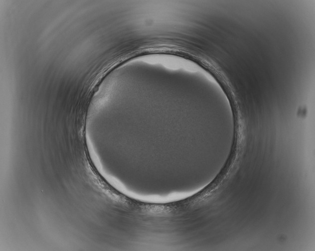 X0000114030945200911131246