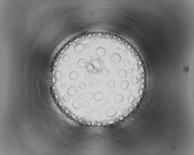 X0000114030949200911131246