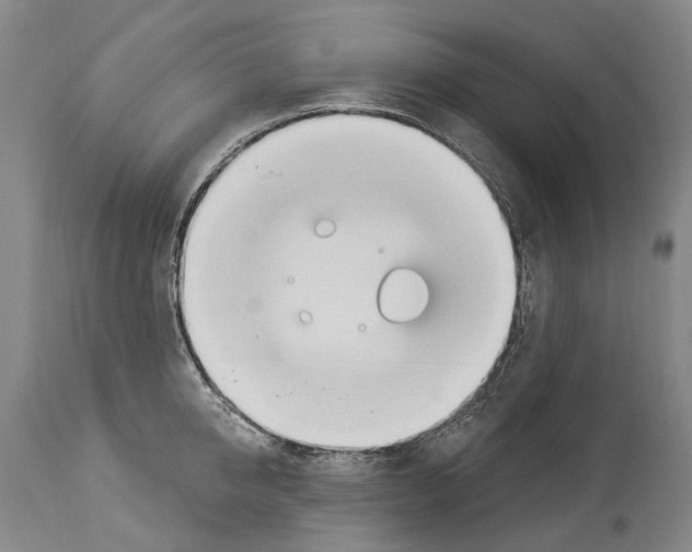 X0000114030950200911131246