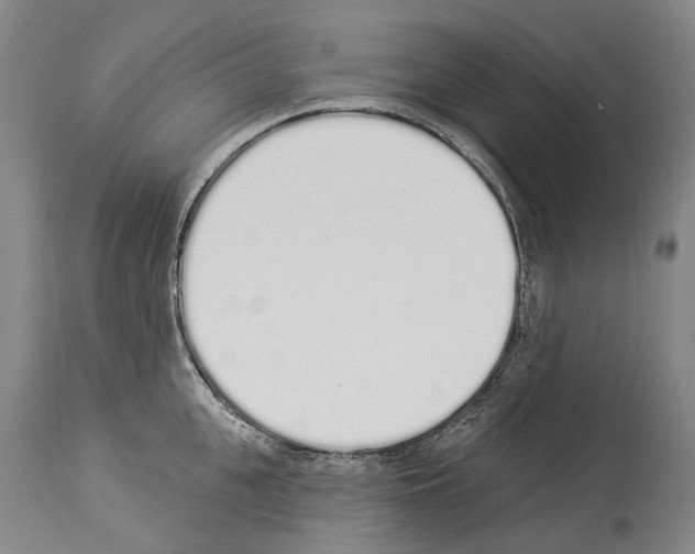 X0000114030951200911131246