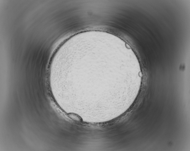 X0000114030952200911131246