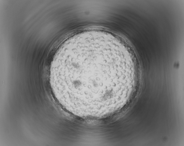 X0000114030953200911131246