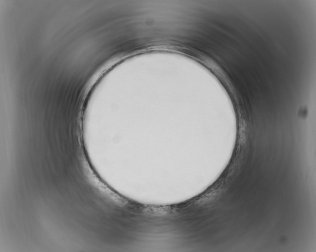 X0000114030955200911131246