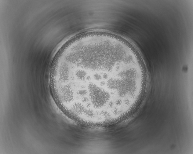 X0000114030957200911131246