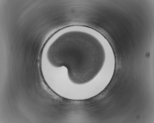 X0000114030958200911131246