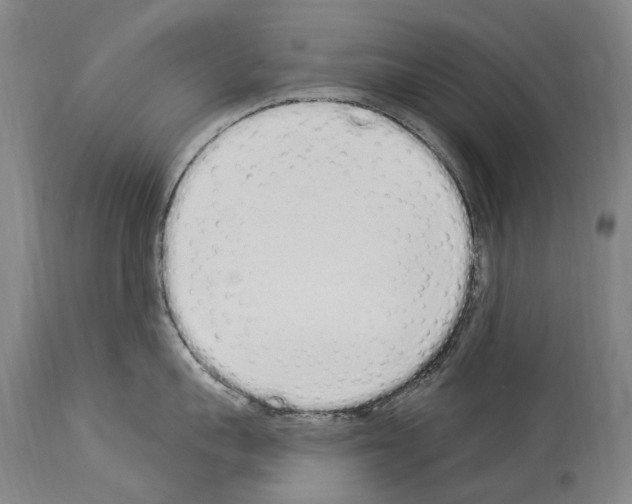 X0000114030959200911131246