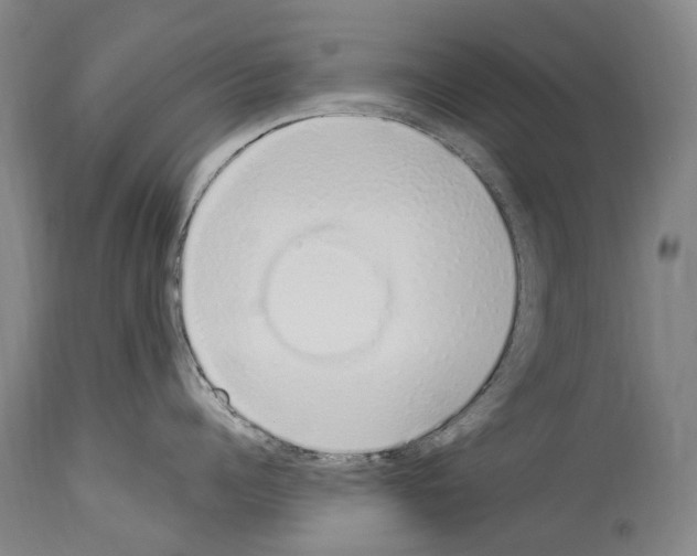 X0000114030960200911131246