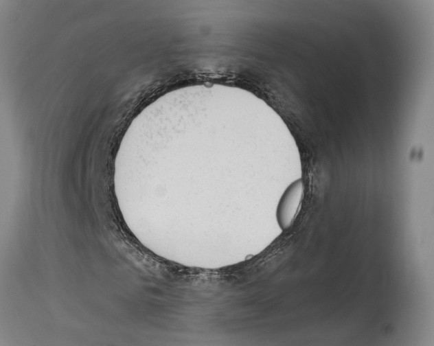 X0000114030961200911131245