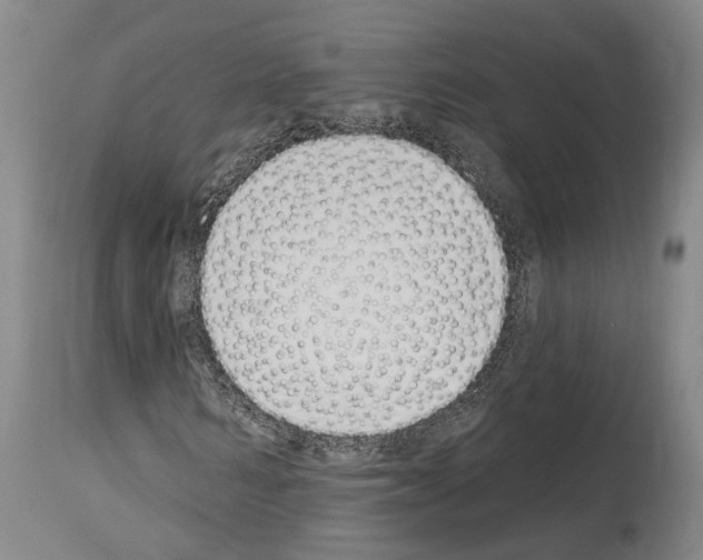 X0000114030962200911131245