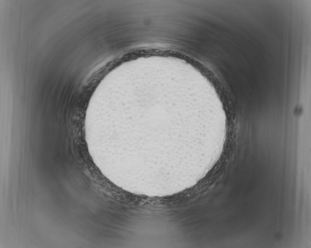 X0000114030967200911131245