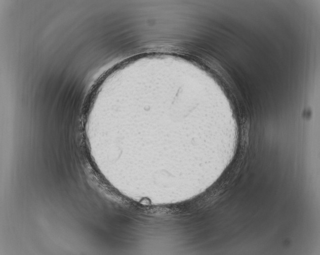 X0000114030971200911131245