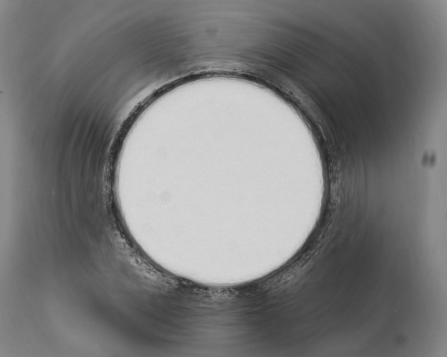 X0000114030975200911131245