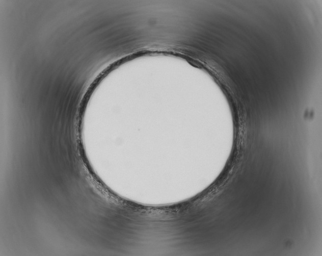 X0000114030976200911131245