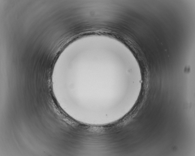 X0000114030977200911131245