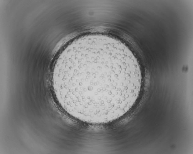 X0000114030978200911131245