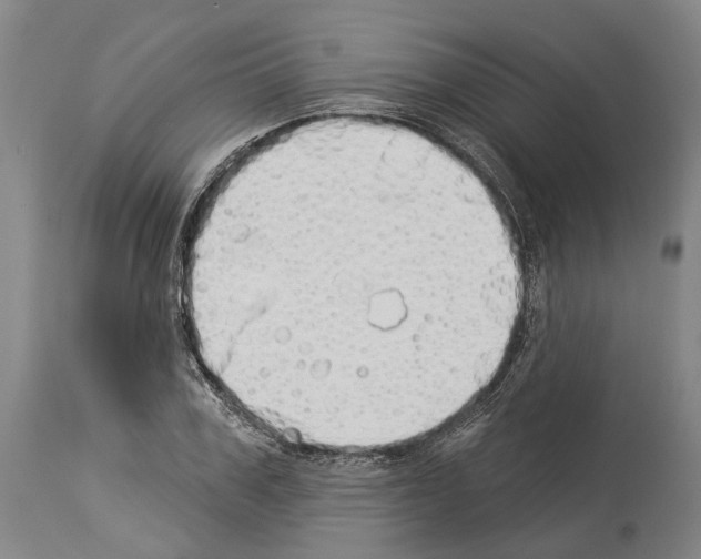 X0000114030979200911131245