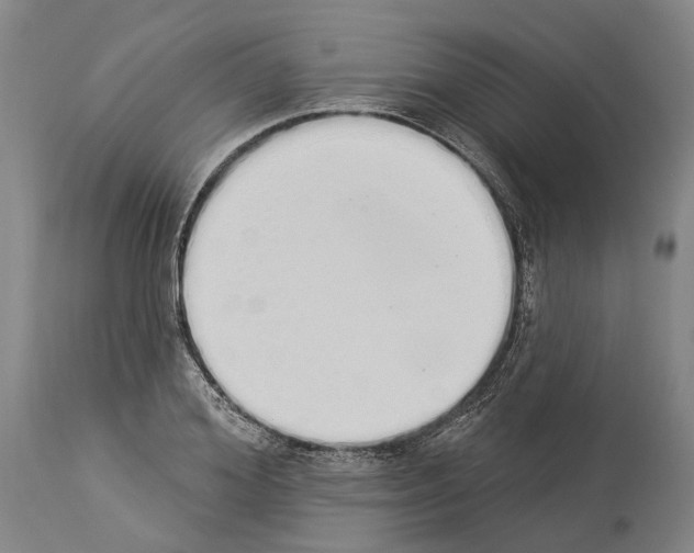 X0000114030980200911131245