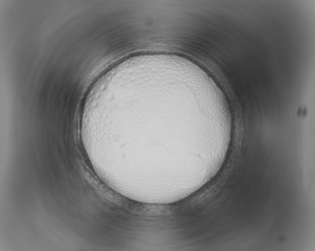 X0000114030982200911131245