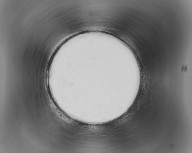 X0000114030984200911131245