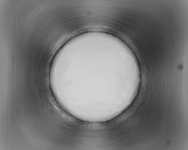 X0000114030986200911131245