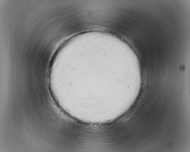 X0000114030987200911131245