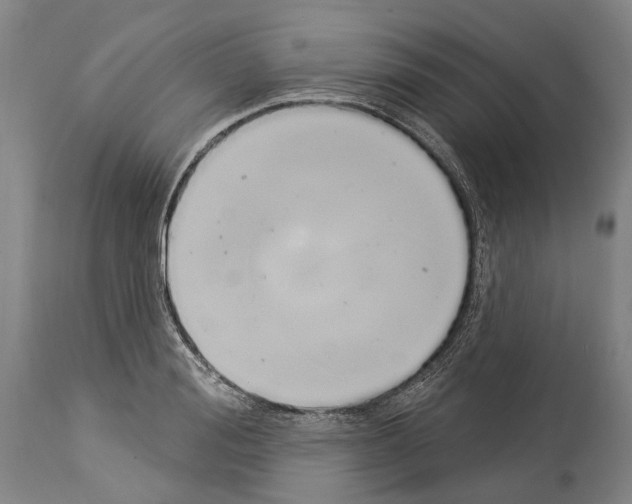 X0000114030988200911131245