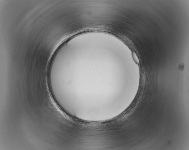 X0000114030989200911131245