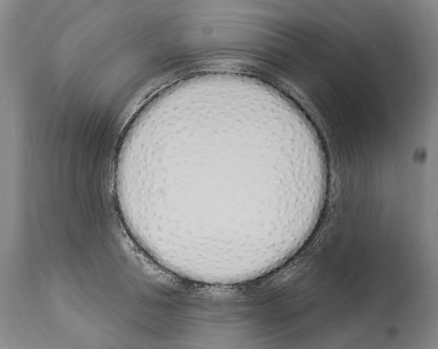 X0000114030994200911131245