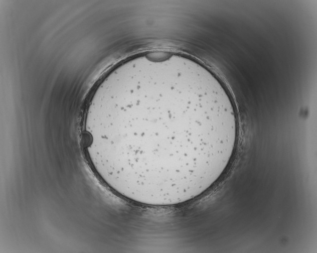 X0000114030997200911131245