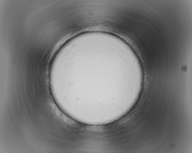 X0000114030998200911131245